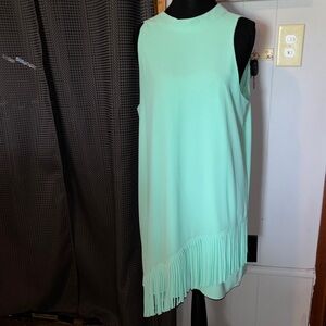 Naked Zebra Mint Sleeveless Fringe Hem Mini Dress